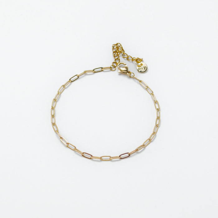 Robbie paperclip anklet