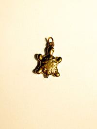 Encantada beach vacay charms